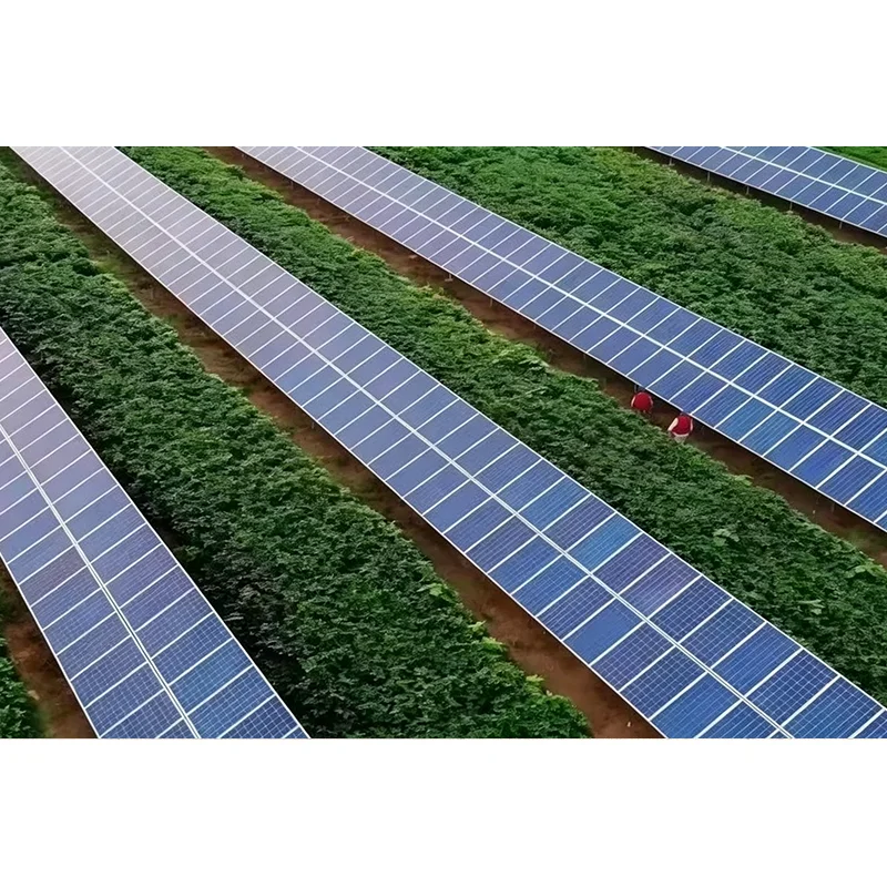 Sistema di inseguimento solare ad asse singolo inclinato